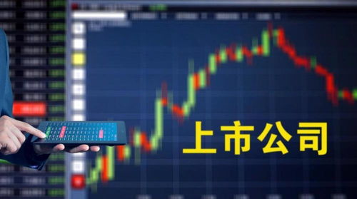 4個月里第3次披露增持計(jì)劃，新海宜能否保殼成功？計(jì)算機(jī)技術(shù)開發(fā)成關(guān)鍵